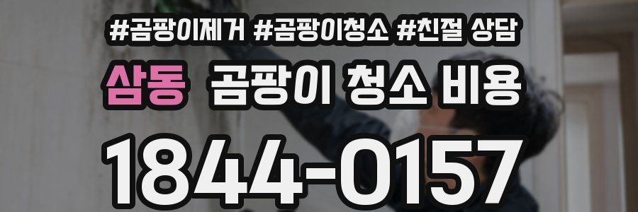삼동 곰팡이 청소 비용