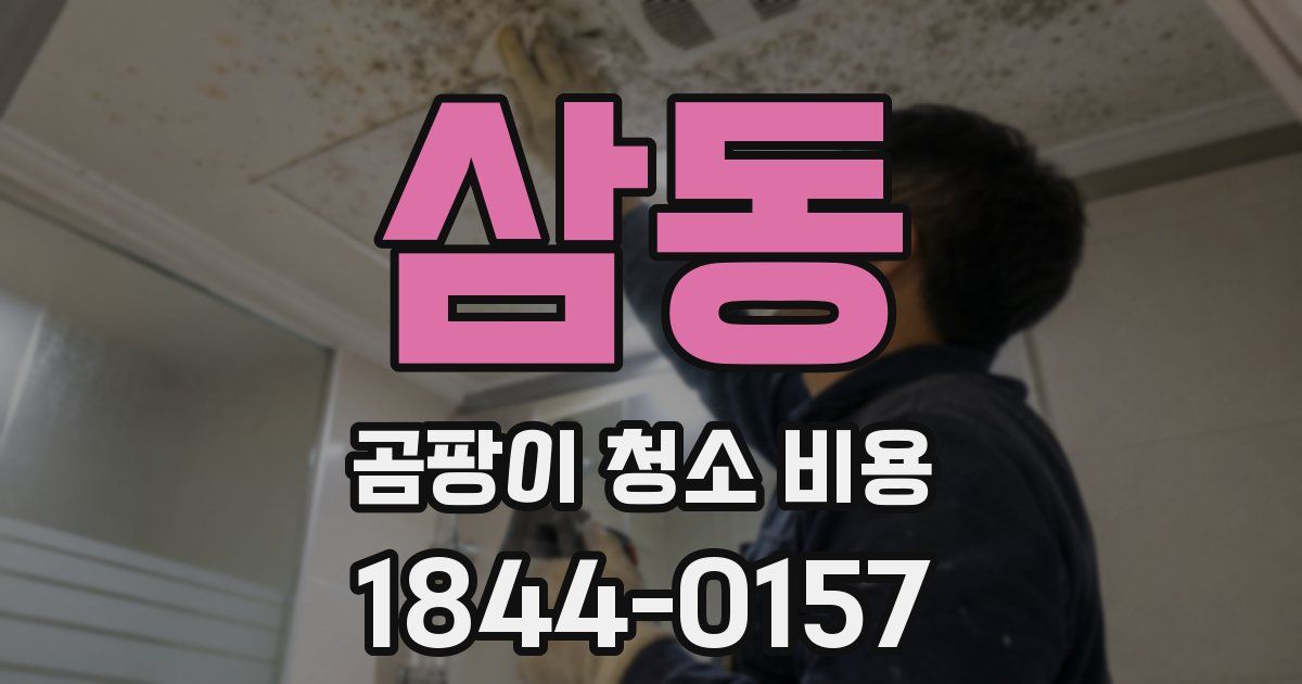 삼동 곰팡이 청소 비용