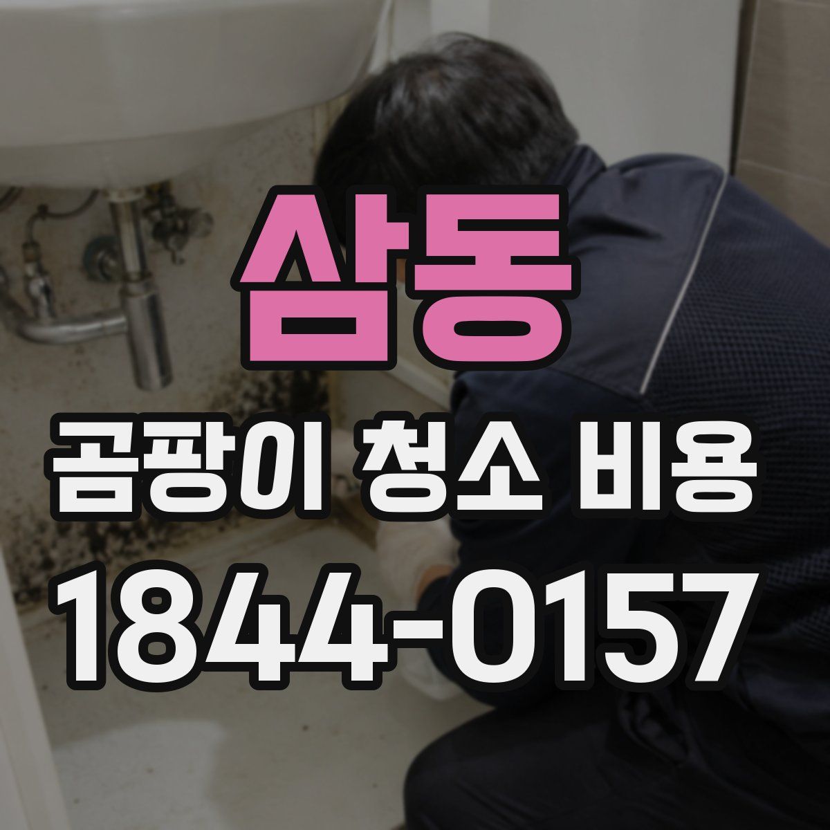 삼동 곰팡이 청소 비용