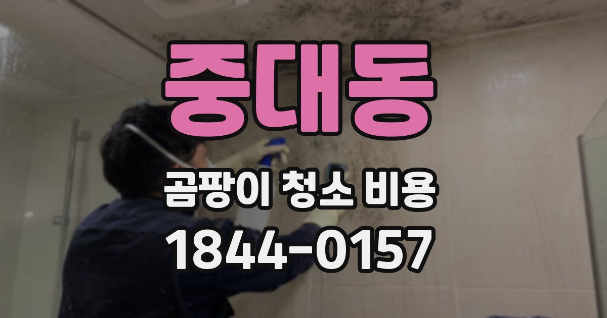 중대동 곰팡이 청소 비용