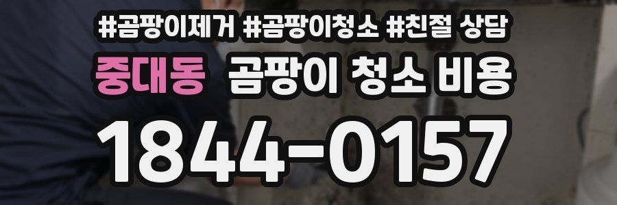 중대동 곰팡이 청소 비용