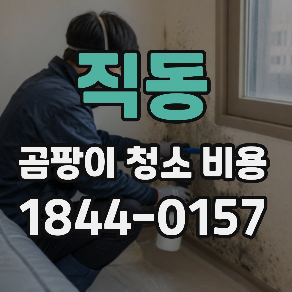 직동 곰팡이 청소 비용