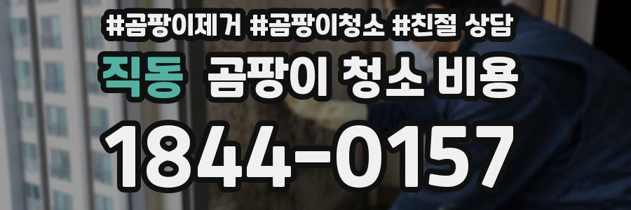 직동 곰팡이 청소 비용