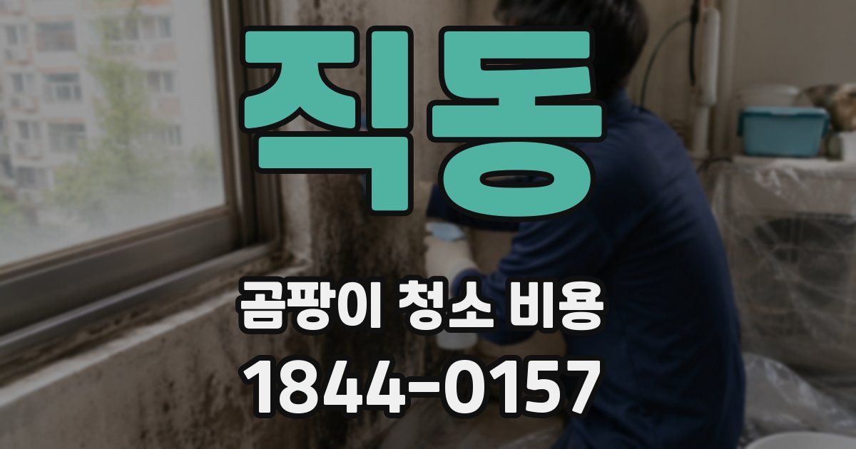 직동 곰팡이 청소 비용