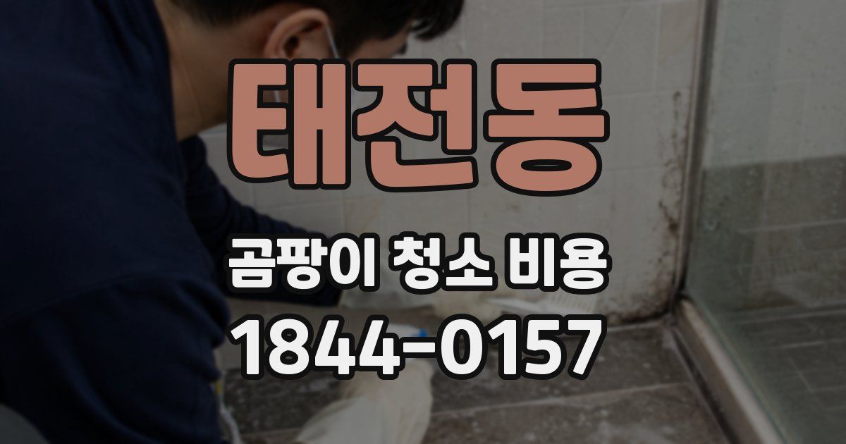 태전동 곰팡이 청소 비용