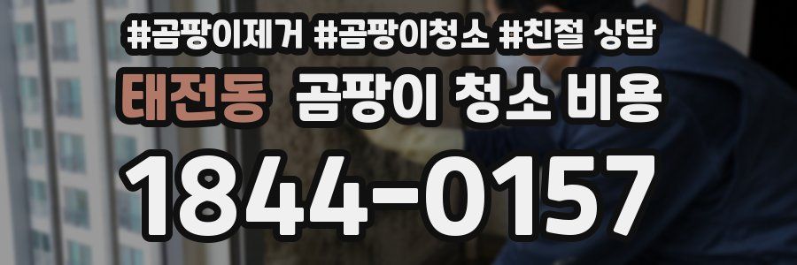 태전동 곰팡이 청소 비용