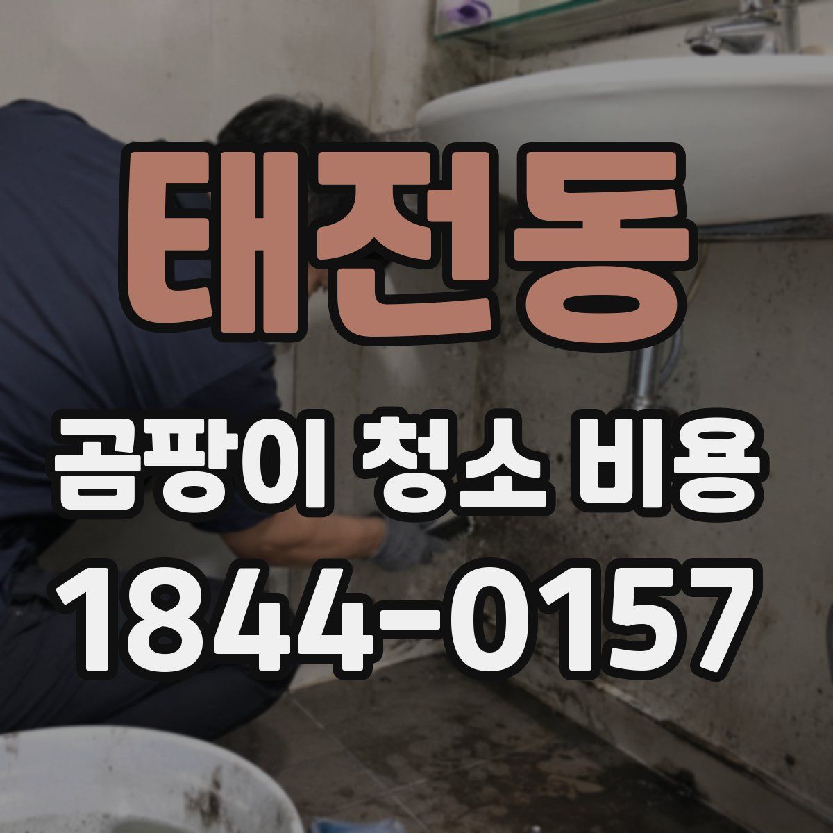 태전동 곰팡이 청소 비용