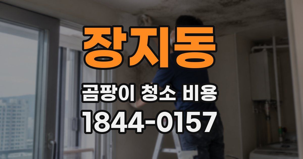 장지동 곰팡이 청소 비용