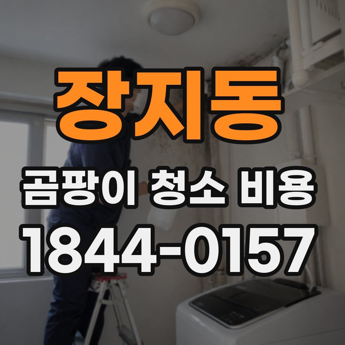 장지동 곰팡이 청소 비용