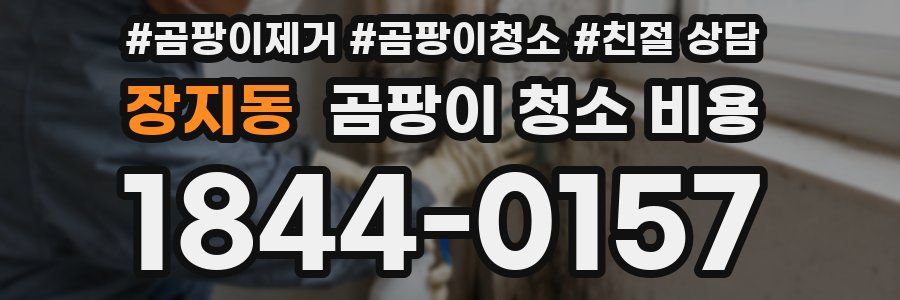 장지동 곰팡이 청소 비용