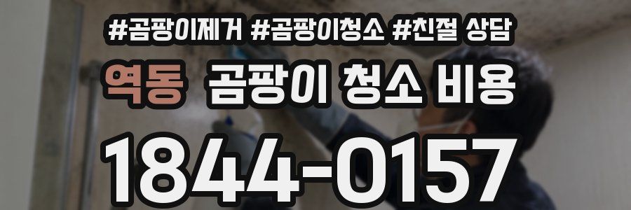 역동 곰팡이 청소 비용