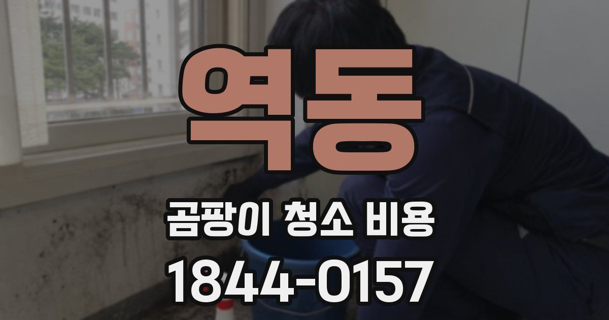 역동 곰팡이 청소 비용