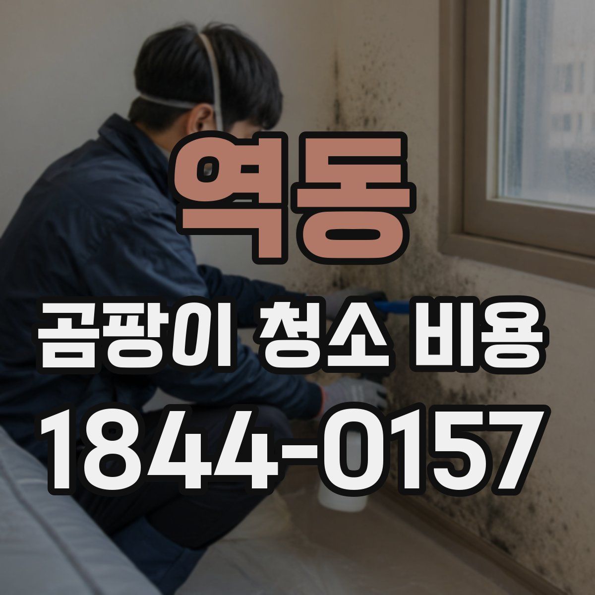 역동 곰팡이 청소 비용