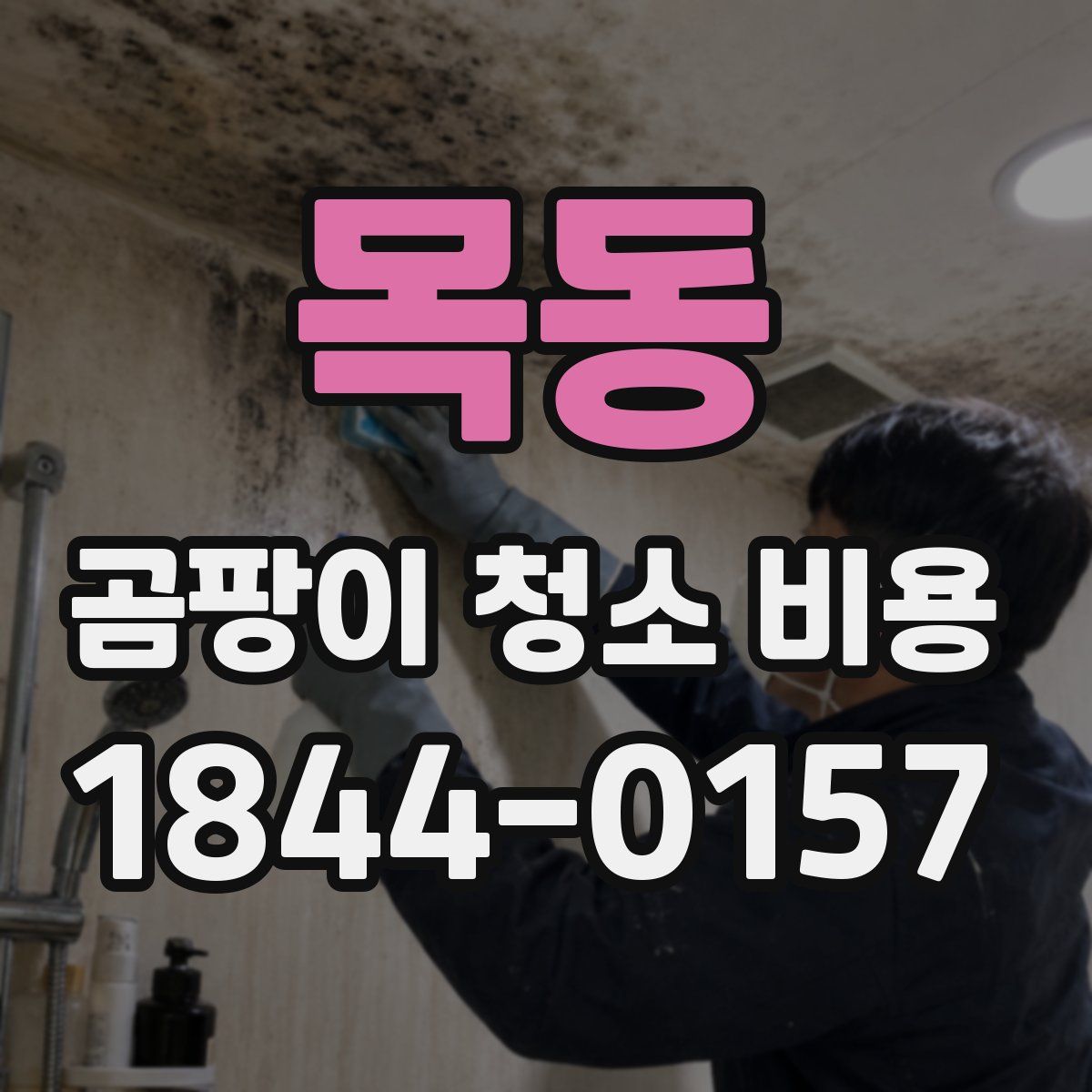 목동 곰팡이 청소 비용
