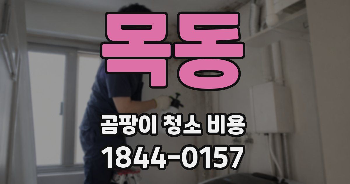 목동 곰팡이 청소 비용