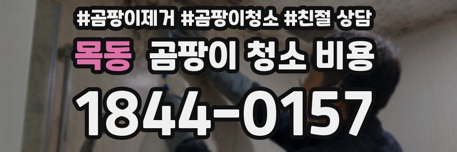 목동 곰팡이 청소 비용
