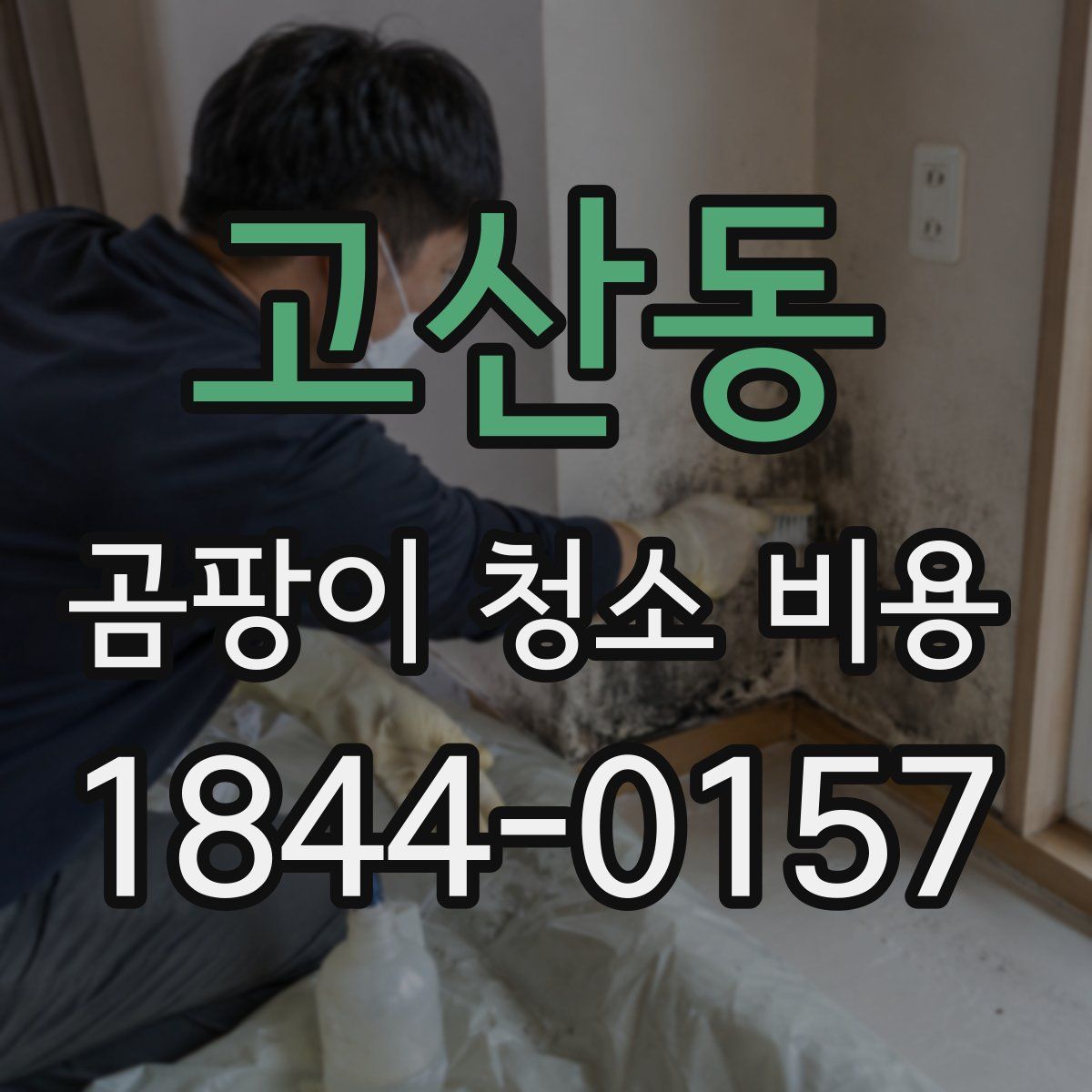 고산동 곰팡이 청소 비용
