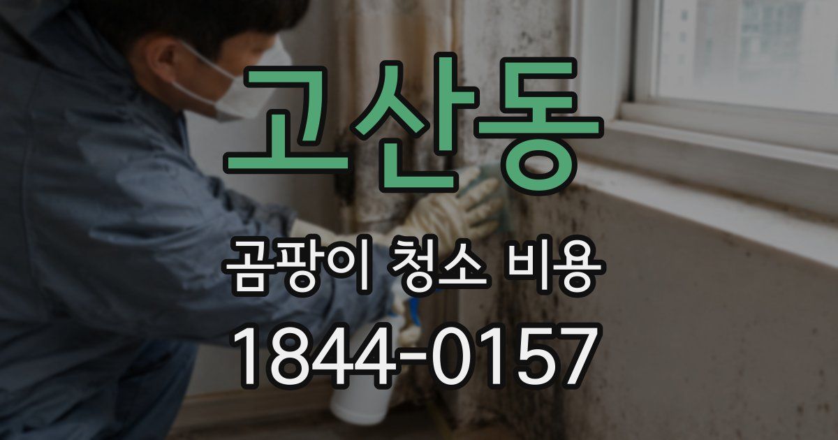 고산동 곰팡이 청소 비용