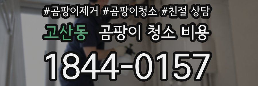 고산동 곰팡이 청소 비용