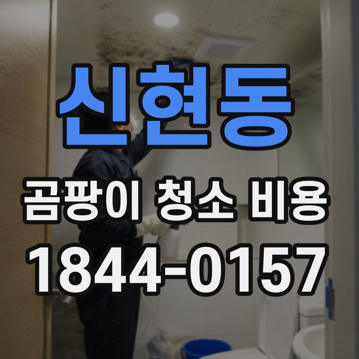 신현동 곰팡이 청소 비용