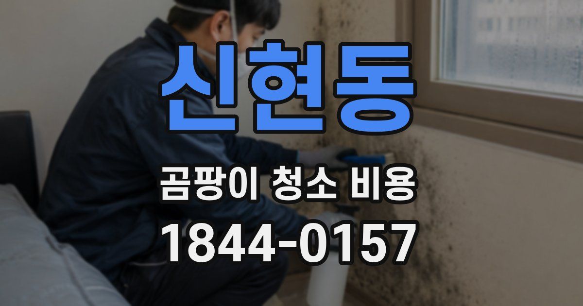 신현동 곰팡이 청소 비용