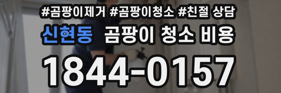 신현동 곰팡이 청소 비용