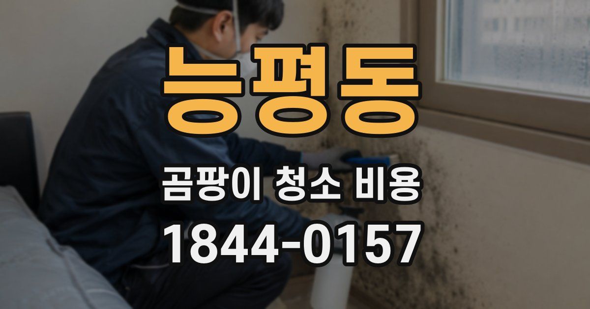 능평동 곰팡이 청소 비용