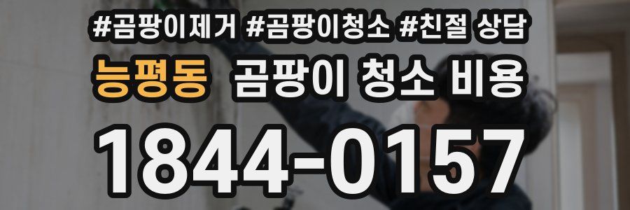 능평동 곰팡이 청소 비용