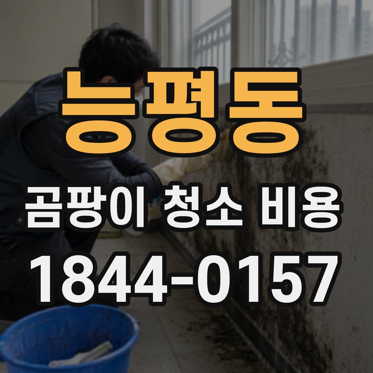 능평동 곰팡이 청소 비용