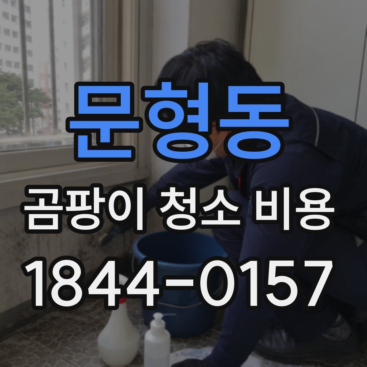 문형동 곰팡이 청소 비용