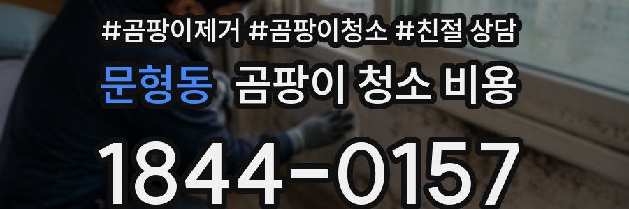 문형동 곰팡이 청소 비용