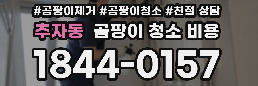 추자동 곰팡이 청소 비용