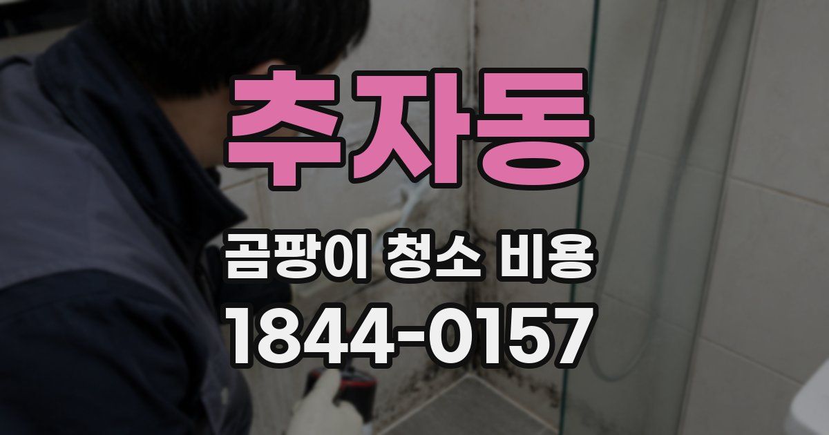 추자동 곰팡이 청소 비용