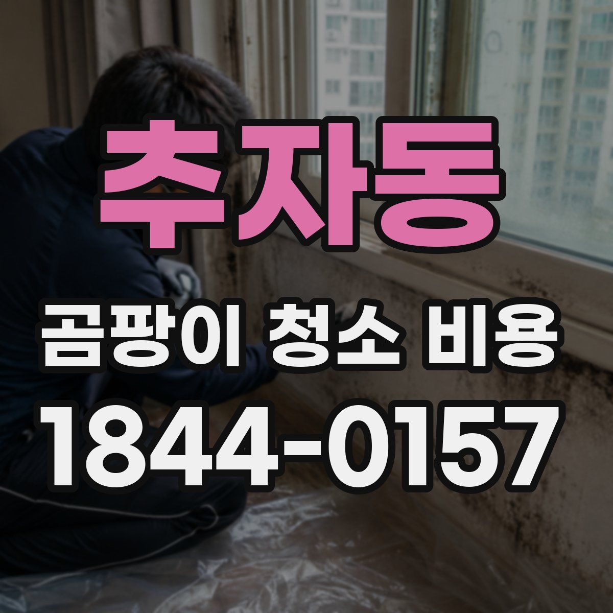 추자동 곰팡이 청소 비용