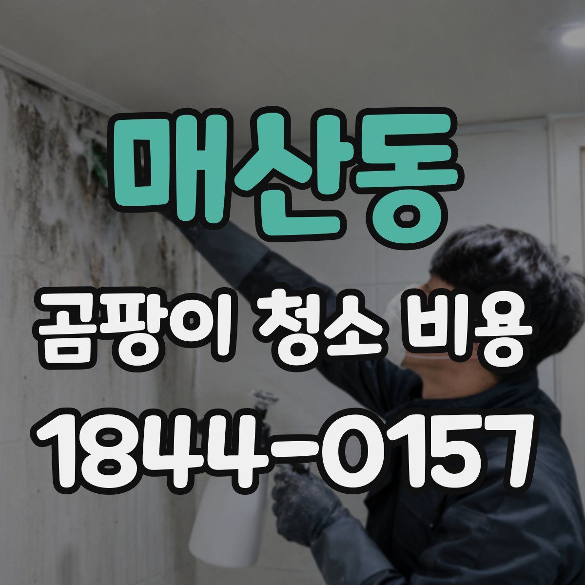 매산동 곰팡이 청소 비용