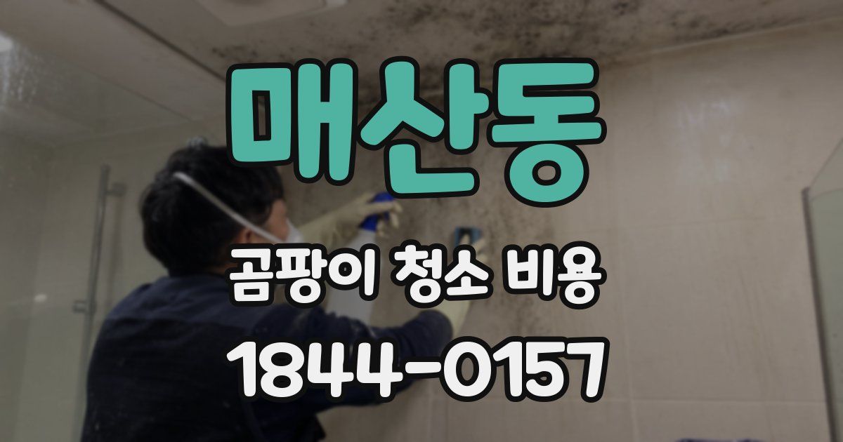 매산동 곰팡이 청소 비용
