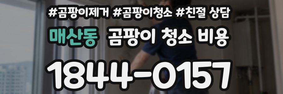 매산동 곰팡이 청소 비용