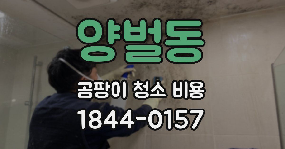 양벌동 곰팡이 청소 비용