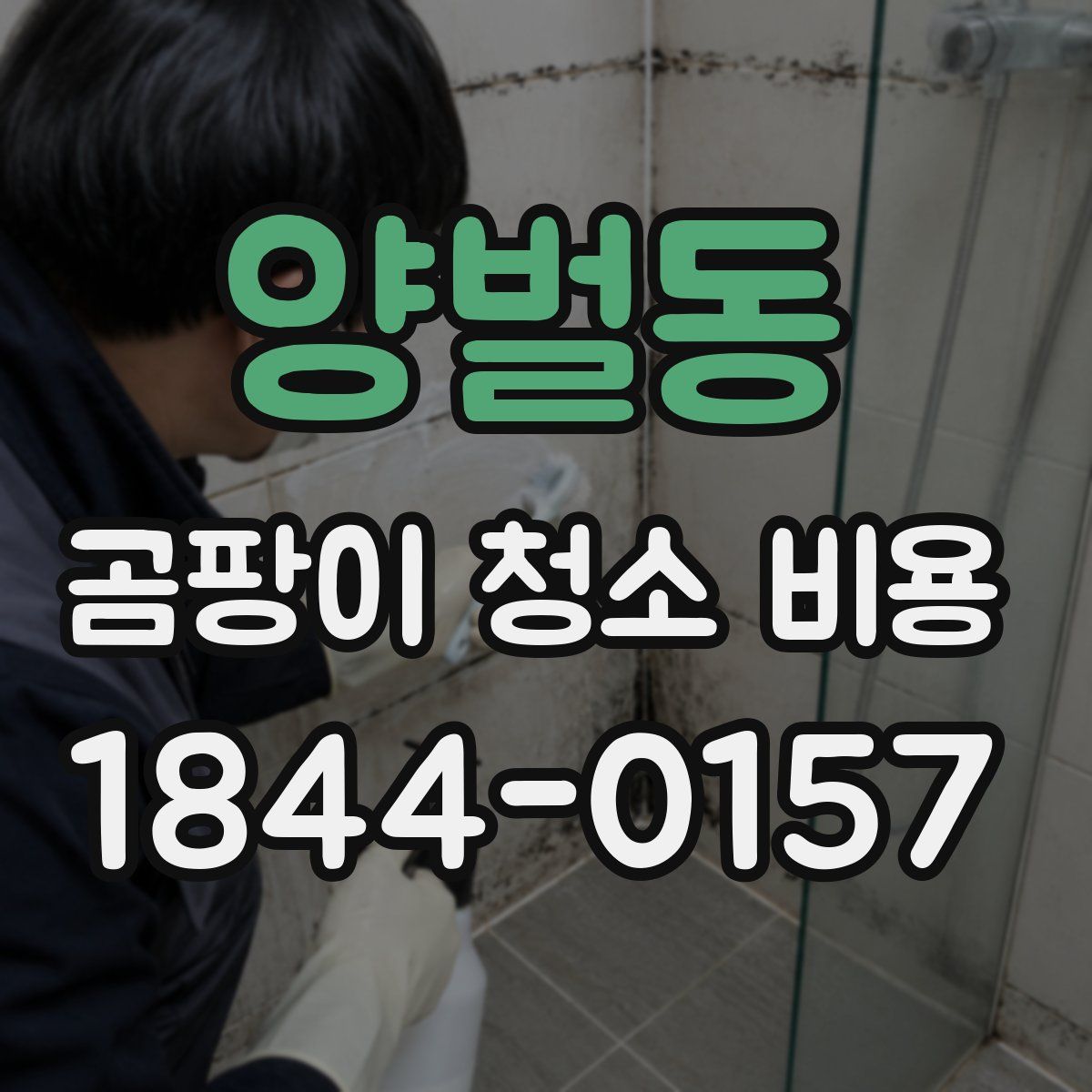 양벌동 곰팡이 청소 비용
