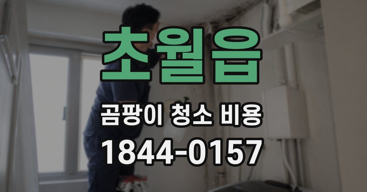 초월읍 곰팡이 청소 비용