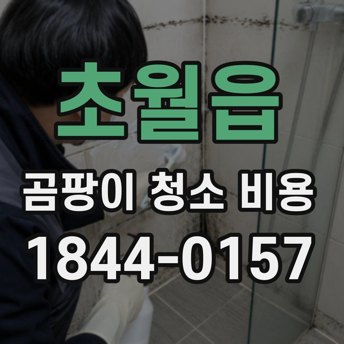 초월읍 곰팡이 청소 비용