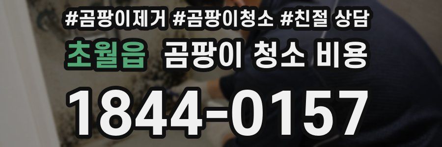 초월읍 곰팡이 청소 비용