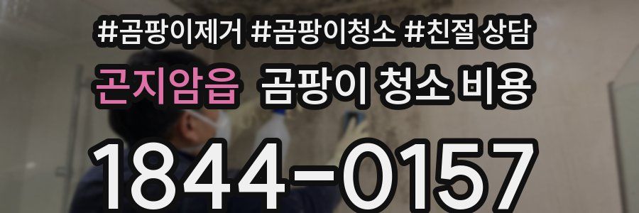 곤지암읍 곰팡이 청소 비용