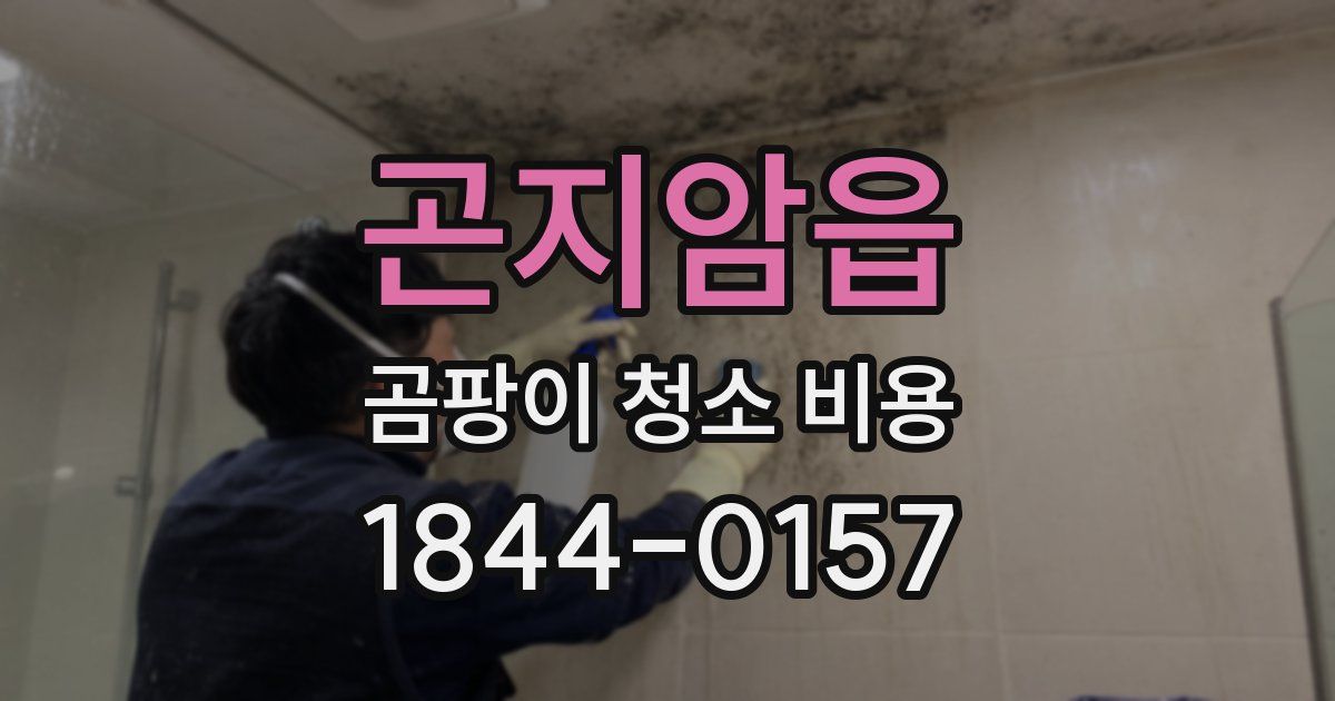곤지암읍 곰팡이 청소 비용