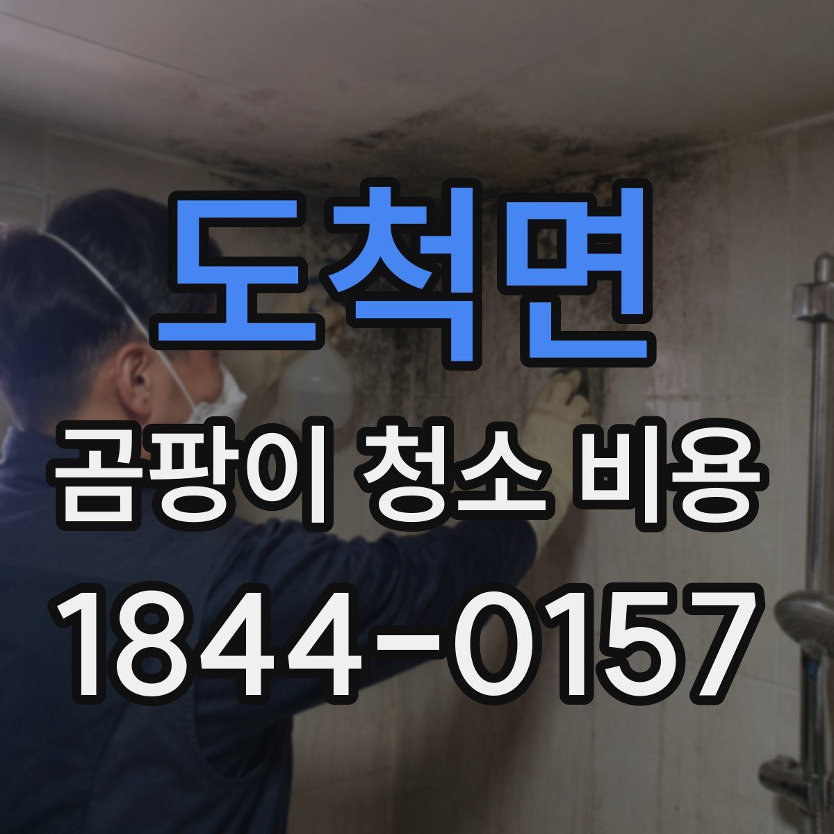도척면 곰팡이 청소 비용