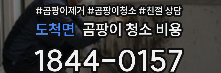 도척면 곰팡이 청소 비용
