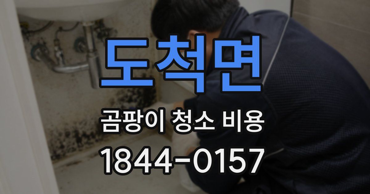 도척면 곰팡이 청소 비용