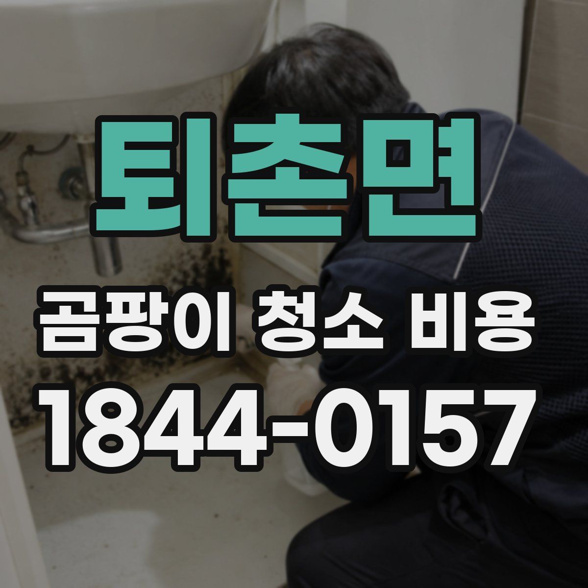 퇴촌면 곰팡이 청소 비용