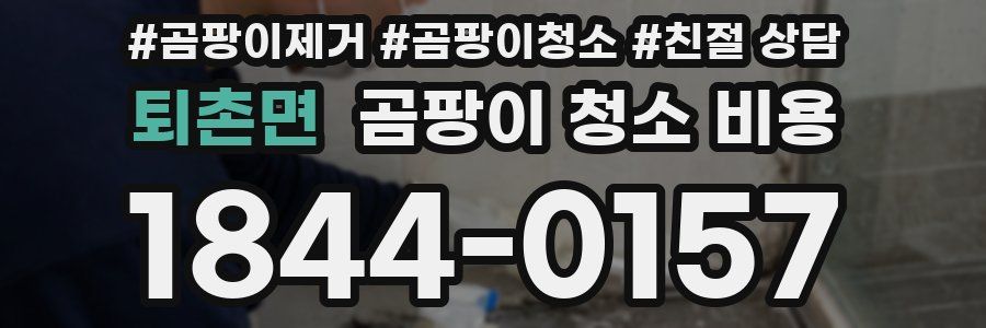 퇴촌면 곰팡이 청소 비용