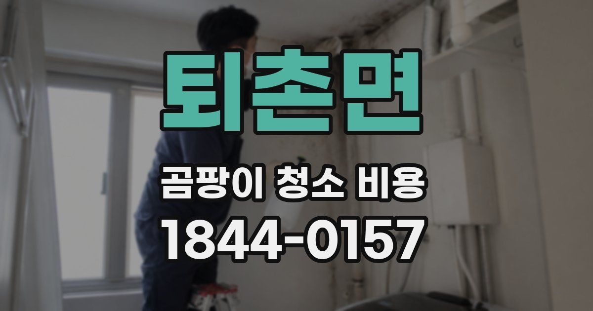 퇴촌면 곰팡이 청소 비용